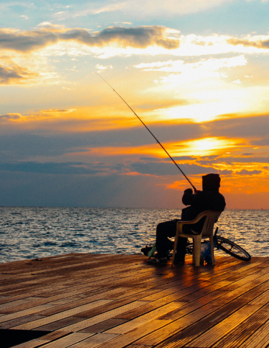 Home_Section1_Image2